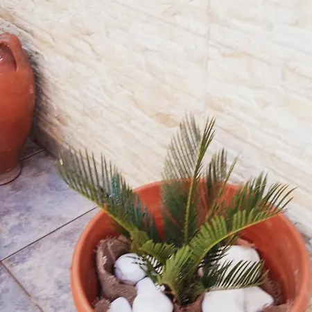 Kastrahome Διαμέρισμα