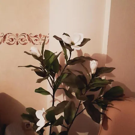 Appartement Kastrahome